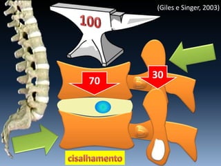 70
30
(Giles e Singer, 2003)
 