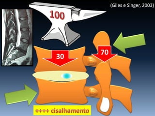 30
70
(Giles e Singer, 2003)
 