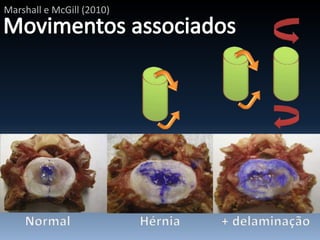 Marshall e McGill (2010)
 