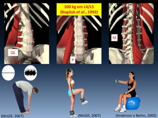 P
QL
M
(Anderson e Behm, 2005)(McGill, 2007) (McGill, 2007)
100 kg em L4/L5
(Bogduk et al., 1992)
 