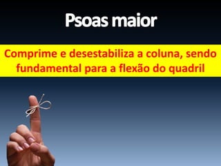 Comprime e desestabiliza a coluna, sendo
fundamental para a flexão do quadril
 