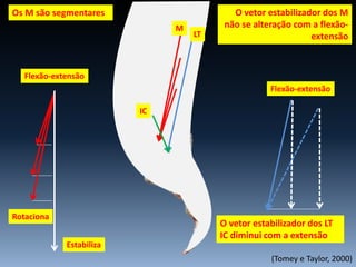 (Tomey e Taylor, 2000)
M
LT
IC
O vetor estabilizador dos M
não se alteração com a flexão-
extensão
Estabiliza
Rotaciona
Flexão-extensão
Flexão-extensão
Os M são segmentares
O vetor estabilizador dos LT
IC diminui com a extensão
 