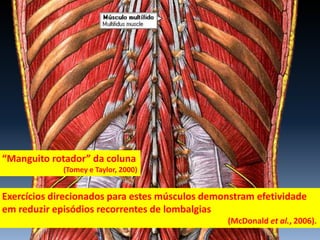 Exercícios direcionados para estes músculos demonstram efetividade
em reduzir episódios recorrentes de lombalgias
(McDonald et al., 2006).
“Manguito rotador” da coluna
(Tomey e Taylor, 2000)
 
