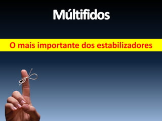 O mais importante dos estabilizadores
 