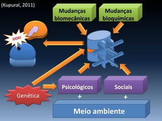 Meio ambiente
Psicológicos Sociais
Genética + +
Mudanças
biomecânicas
Mudanças
bioquímicas
(Kupural, 2011)
 