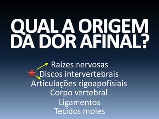 Raízes nervosas
Discos intervertebrais
Articulações zigoapofisiais
Corpo vertebral
Ligamentos
Tecidos moles
 