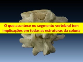 O que acontece no segmento vertebral tem
implicações em todas as estruturas da coluna
 
