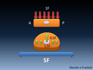 A P
(Nordin e Frankel)
1F
1,5F
0,5F
5F
 
