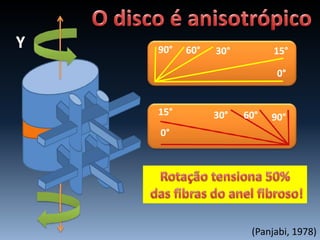 Y
(Panjabi, 1978)
0°
15°30°60°90°
15° 30° 60° 90°
0°
 