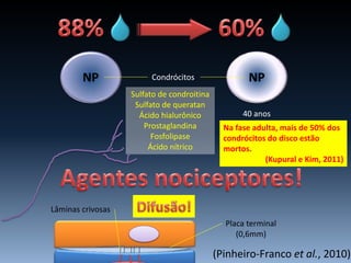 NP NP
40 anos
(Pinheiro-Franco et al., 2010)
Condrócitos
Sulfato de condroitina
Sulfato de queratan
Ácido hialurônico
Prostaglandina
Fosfolipase
Ácido nítrico
Placa terminal
(0,6mm)
Lâminas crivosas
Na fase adulta, mais de 50% dos
condrócitos do disco estão
mortos.
(Kupural e Kim, 2011)
 