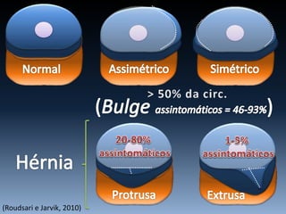(Roudsari e Jarvik, 2010)
 