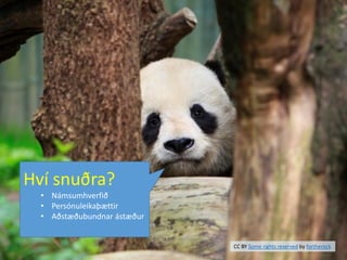 CC BY Some rights reserved by fortherock
Hví snuðra?
• Námsumhverfið
• Persónuleikaþættir
• Aðstæðubundnar ástæður
 