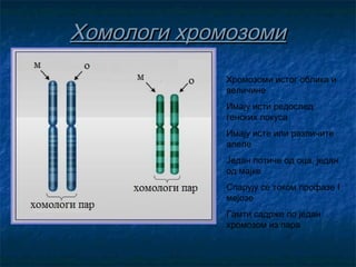 Хомологи хромозоми
Хромозоми истог облика и
величине
Имају исти редослед
генских локуса
Имају исте или различите
алеле
Јед...
