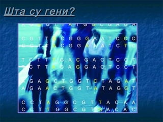 Шта су гени?

 