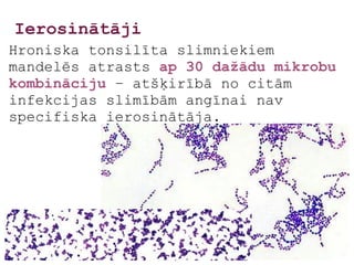Ierosinātāji
Hroniska tonsilīta slimniekiem
mandelēs atrasts ap 30 dažādu mikrobu
kombināciju – atšķirībā no citām
infekcijas slimībām angīnai nav
specifiska ierosinātāja.
 