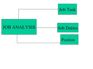 JOB ANALYSIS
Job Task
Job Duties
Position
 