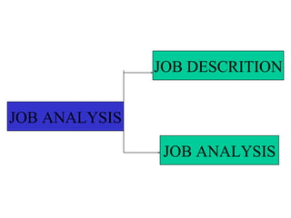 JOB ANALYSIS
JOB DESCRITION
JOB ANALYSIS
 