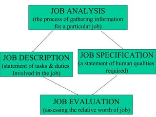 JOB ANALYSIS
(the process of gathering information
for a particular job)
JOB DESCRIPTION
(statement of tasks & duties
Involved in the job)
JOB SPECIFICATION
(a statement of human qualities
required)
JOB EVALUATION
(assessing the relative worth of job)
 
