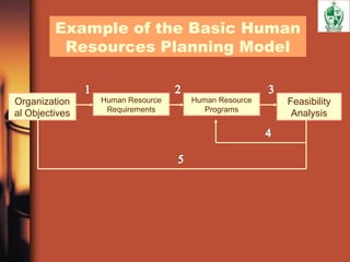 Example of the Basic Human
Resources Planning Model
Organization
al Objectives
Human Resource
Requirements
Human Resource
Programs
Feasibility
Analysis
 