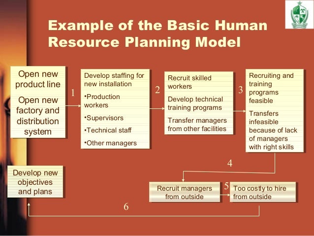 strategic hr planning report human resources strategic plan example