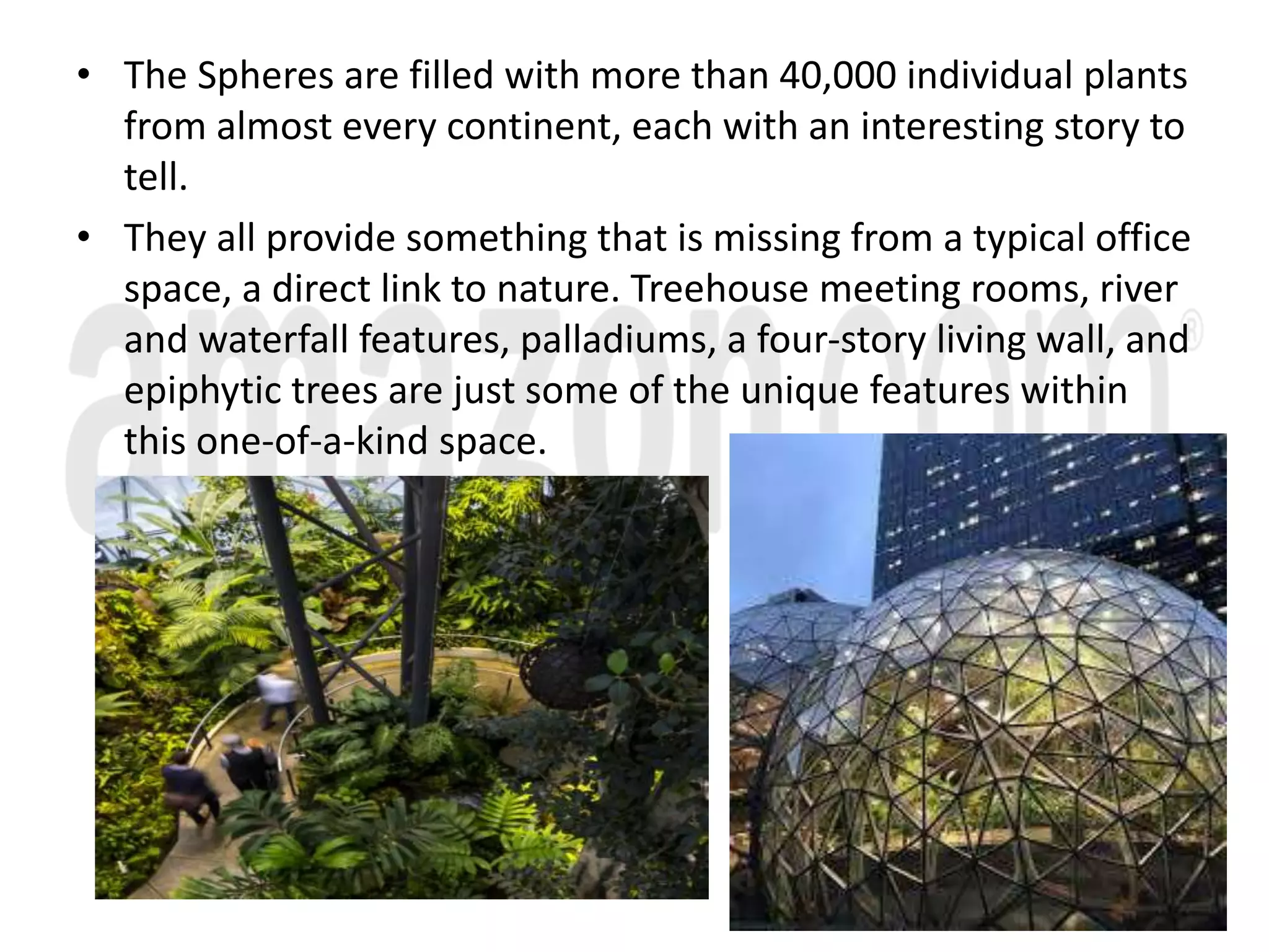 • The Spheres are filled with more than 40,000 individual plants
from almost every continent, each with an interesting story to
tell.
• They all provide something that is missing from a typical office
space, a direct link to nature. Treehouse meeting rooms, river
and waterfall features, palladiums, a four-story living wall, and
epiphytic trees are just some of the unique features within
this one-of-a-kind space.
 
