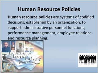 Human Resource Policies Human resource policies  are systems of codified decisions, established by an organization, to support administrative personnel functions, performance management, employee relations and resource planning. 
