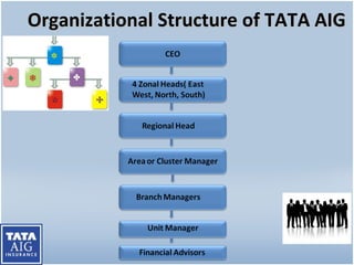 Organizational Structure of TATA AIG 