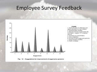 Employee Survey Feedback
 
