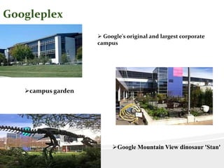 Googleplex
 Google's original and largest corporate
campus
campus garden
Google Mountain View dinosaur 'Stan'
 