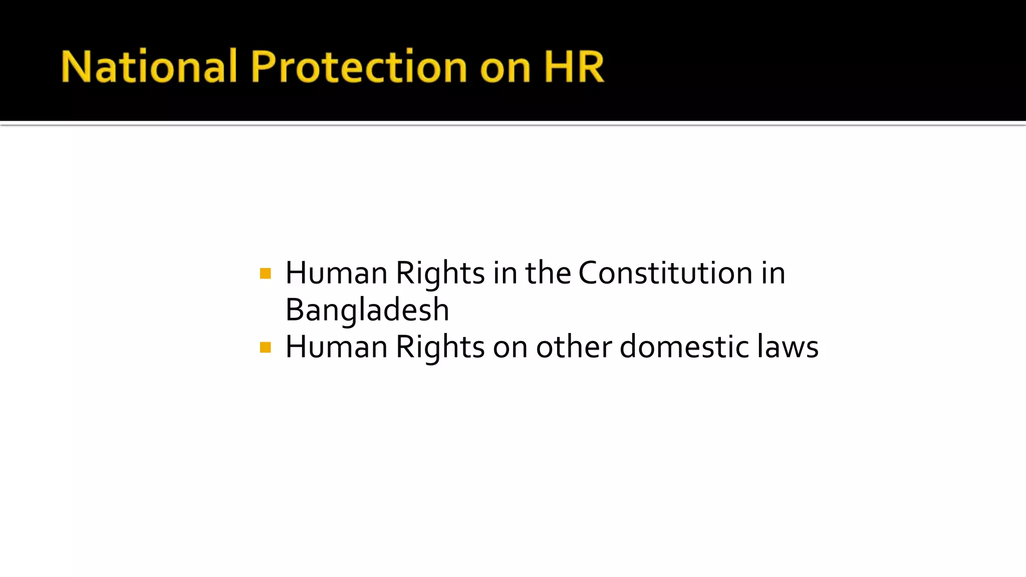 Human Rights protection mechanism | PPTX