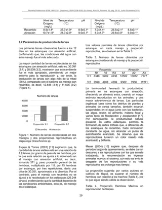 Revista Politécnica ISSN 1900-2351 (Impreso), ISSN 2256-5353 (En línea), Año 15, Número 30, pág. 25-31, Julio-Diciembre 2019
29
Nivel de
Oxígeno
(mg/L)
Temperatura
(°C)
pH Nivel de
Oxígeno
(mg/L)
Temperatura
(°C)
pH
Recambio 8.9±1.4a
25.7±1.9a
8.5±0.1a
7.0±1.4ª 26.5±2.1ª 8.5±0.1ª
Aireación 10.7±1.9b
28.7±2.8b
9.0±0.1b
8.0±1.7b
29.8±3.0b
9.0±0.1b
3.2 Parámetros de producción de larvas
Las primeras larvas observadas fueron a los 12
días en los estanques con aireación artificial,
confirmando que, las condiciones del agua con
este manejo fue el más adecuado.
La mayor cantidad de larvas recolectadas en los
estanques con aireación artificial, esto es, 30.091
(3:1) y 28.539 (3:2), mostraron que este ambiente
fue el más apropiado, permitiendo un mejor
entorno para la reproducción y, por ende, la
producción de larvas con algo más de la mitad
(56%), comparado con el sistema de manejo con
recambio, es decir, 12.846 (3:1) y 11.605 (3:2)
(Figura 1).
Figura 1. Número de larvas recolectadas en dos
manejos y dos proporciones reproductivas en
tilapia roja Oreochromis sp.
Espejo & Torres (2001) [11] sugirieron que, la
cantidad de larvas viables está en una relación de
1.8 larvas por gramo de peso de las hembras, por
lo que esta relación se ajusta a lo observado en
el manejo con aireación artificial, es decir,
tomando 371 g, peso promedio general de las
hembras, multiplicado por 1.8, por 15 hembras
por estanque, por tres repeticiones, daría una
cifra de 30.051, aproximado a lo obtenido. Por el
contrario, para el manejo con recambio no se
ajustó a lo recolectado en los estanques (26.244
larvas), evidenciando que la cantidad depende de
las condiciones ambientales, esto es, de manejo
en el estanque.
Los valores parciales de larvas obtenidas por
estanque, en cada manejo y proporción
reproductiva, se observan en la Tabla 3.
Tabla 3. Número de larvas obtenidas por
estanque considerando el manejo y la proporción
reproductiva
Recambio Aireación
R1 R2 R3 A1 A2 A3
3:1 3348 5262 4236 12502 10012 7577
3:2 2998 4208 4399 9362 7906 11271
La luminosidad favoreció la productividad
primaria en los estanques con aireación,
ofreciendo un alimento extra, creando un mayor
estimulo reproductivo en los animales, y una
mayor sobrevivencia de larvas. Las partículas
orgánicas tales como los detritus de plantas y
animales de varios tamaños, también estarían
suspendidas en el agua junto con las bacterias,
las algas, restos de alimento, materia fecal y
varios tipos de fitoplancton y zooplancton [17].
Por consiguiente, la productividad natural
presente en estos estanques, permitió la
formación de redes tróficas que, a diferencia de
los estanques de recambio, hubo renovación
constante de agua, sin alcanzar un punto de
eutroficación avanzado. Se observó que los
reproductores tuvieron un color rosado más
acentuado y brillante.
Meyer (2004) [10] sugiere que, despues de
periodos largos de apareamiento, se debe dar un
descanso a los reproductores con los que se esta
trabajando, la recomendación es ingresar
animales nuevos al sistema, con esto se evita el
desgaste de los reproductores y su vida
reproductiva se prolonga mas tiempo.
La proporción sugerida por varios autores en
cultivos de tilapia, es superar el número de
hembras con relación a los machos (Tabla 4), por
lo que sigue siendo válida la observación.
Tabla 4. Proporción Hembras Machos en
reproducción de tilapias.
0
10000
20000
30000
40000
Proporción 3:1 Proporción 3:2
Número de larvas
Recambio Aireación
 