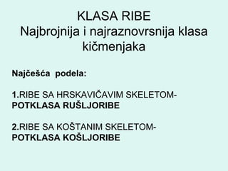 Ajkule i raže | PPT