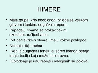 HIMERE
• Mala grupa vrlo neobičnog izgleda sa velikom
glavom i tankim, dugačkim repom.
• Pripadaju ribama sa hrskavičavim
skeletom, rušljoribama.
• Pet pari škržnih otvora, imaju kožne poklopce.
• Nemaju riblji mehur
• Rep je dugačak i tanak, a ispred leđnog peraja
imaju bodlju koja može biti otrovna.
• Oplođenje je unutrašnje i odvojenih su polova.
 
