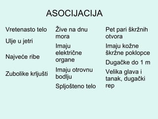 Vretenasto telo
Ulje u jetri
Najveće ribe
Zubolike krljušti
Žive na dnu
mora
Imaju
električne
organe
Imaju otrovnu
bodlju
Spljošteno telo
ASOCIJACIJA
Pet pari škržnih
otvora
Imaju kožne
škržne poklopce
Dugačke do 1 m
Velika glava i
tanak, dugački
rep
 