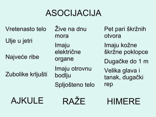 AJKULE
Vretenasto telo
Ulje u jetri
Najveće ribe
Zubolike krljušti
Žive na dnu
mora
Imaju
električne
organe
Imaju otrovnu
bodlju
Spljošteno telo
ASOCIJACIJA
Pet pari škržnih
otvora
Imaju kožne
škržne poklopce
Dugačke do 1 m
Velika glava i
tanak, dugački
rep
RAŽE HIMERE
 
