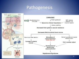 Pathogenesis
12
 