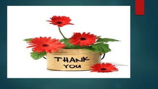 Hr strategy for startups