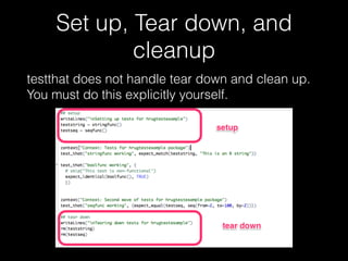 Testhatt Unit Testing in R with Testthat - HRUG | PDF