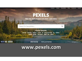 www.pexels.comwww.pexels.com
 