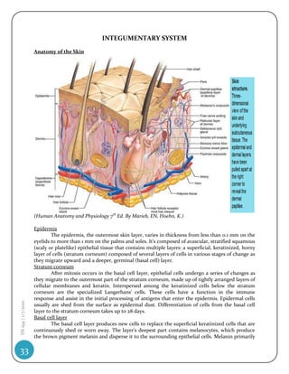 INTEGUMENTARY SYSTEM
                    Anatomy of the Skin




                    (Human Anatomy and Physiology 7th Ed. By Marieb, EN, Hoehn, K.)

                    Epidermis
                            The epidermis, the outermost skin layer, varies in thickness from less than 0.1 mm on the
                    eyelids to more than 1 mm on the palms and soles. It's composed of avascular, stratified squamous
                    (scaly or platelike) epithelial tissue that contains multiple layers: a superficial, keratinized, horny
                    layer of cells (stratum corneum) composed of several layers of cells in various stages of change as
                    they migrate upward and a deeper, germinal (basal cell) layer.
                    Stratum corneum
                            After mitosis occurs in the basal cell layer, epithelial cells undergo a series of changes as
                    they migrate to the outermost part of the stratum corneum, made up of tightly arranged layers of
                    cellular membranes and keratin. Interspersed among the keratinized cells below the stratum
                    corneum are the specialized Langerhans' cells. These cells have a function in the immune
                    response and assist in the initial processing of antigens that enter the epidermis. Epidermal cells
HS 194 | 1/7/2010




                    usually are shed from the surface as epidermal dust. Differentiation of cells from the basal cell
                    layer to the stratum corneum takes up to 28 days.
                    Basal cell layer
                            The basal cell layer produces new cells to replace the superficial keratinized cells that are
                    continuously shed or worn away. The layer's deepest part contains melanocytes, which produce
                    the brown pigment melanin and disperse it to the surrounding epithelial cells. Melanin primarily

33
 