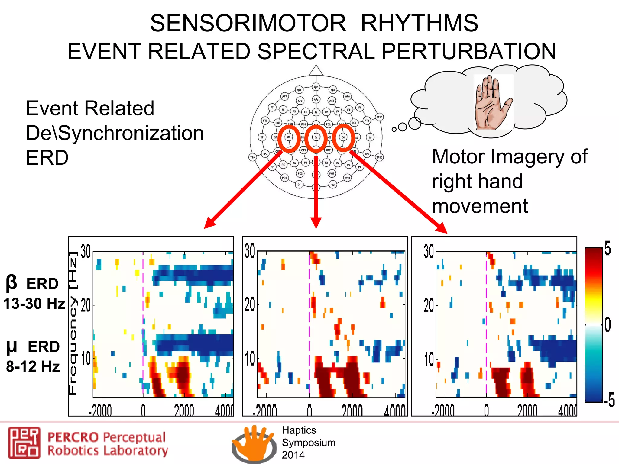 Haptics
Symposium
2014
Haptics
Symposium
2014
β ERD
13-30 Hz
µ ERD
8-12 Hz
Event Related
DeSynchronization
ERD Motor Imagery of
right hand
movement
EVENT RELATED SPECTRAL PERTURBATION
SENSORIMOTOR RHYTHMS
 