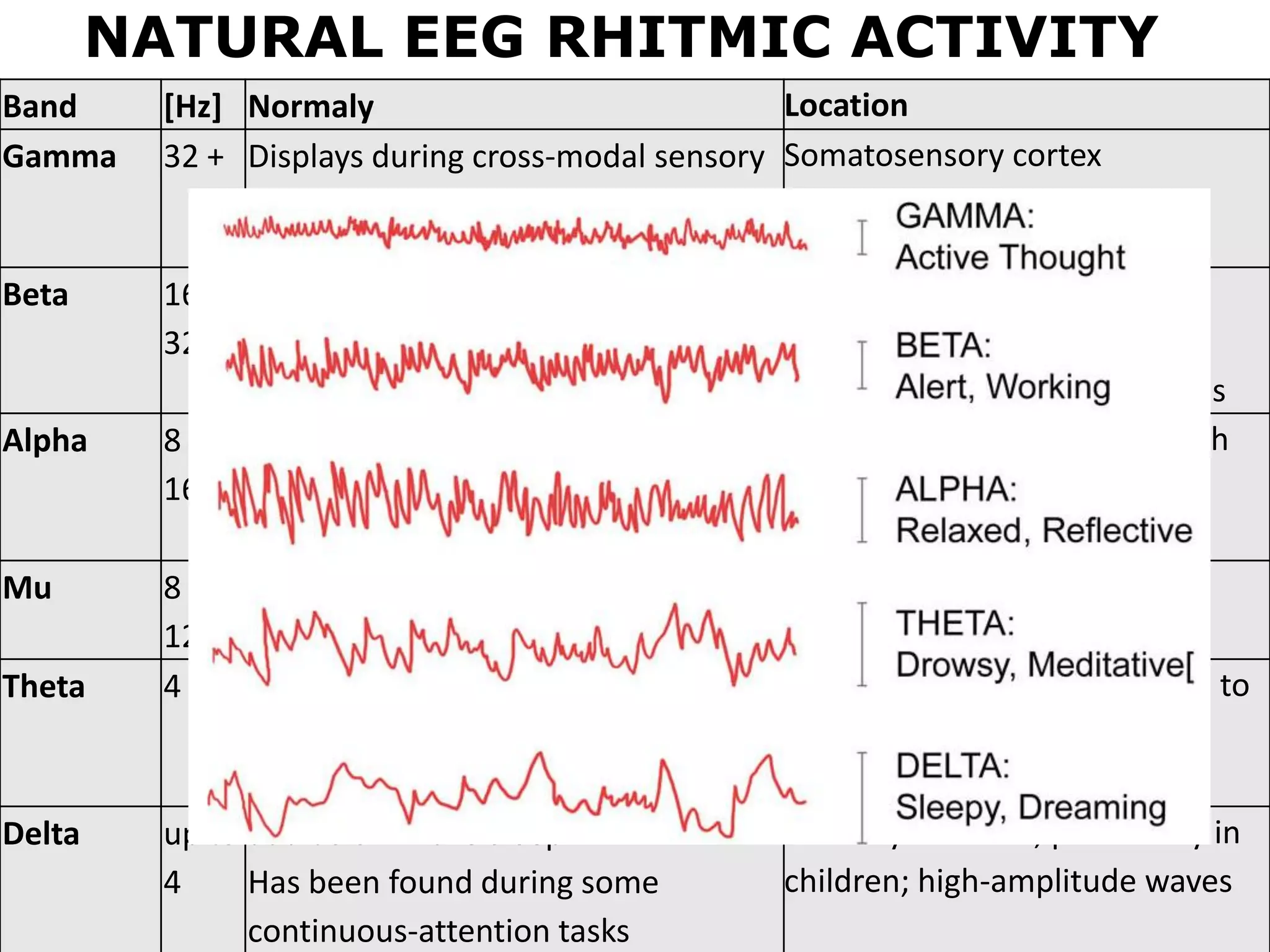 Haptics
Symposium
2014
Haptics
Symposium
2014
NATURAL EEG RHITMIC ACTIVITY
Band [Hz] Normaly Location
Gamma 32 + Displays during cross-modal sensory
processing and short-term memory
Somatosensory cortex
Beta 16 -
32
active thinking, focus, hi alert,
anxious
both sides, symmetrical
distribution, most evident
frontally; low-amplitude waves
Alpha 8 -
16
relaxed/reflecting
closing the eyes
inhibition control
posterior regions of head, both
sides, higher in amplitude on
non-dominant side.
Mu 8 -
12
Shows rest-state motor neurons Sensorimotor cortex
Theta 4 - 8 higher in young children
drowsiness in adults and teens
idling
Found in locations not related to
task at hand
Delta up to
4
adult slow-wave sleep
Has been found during some
continuous-attention tasks
frontally in adults, posteriorly in
children; high-amplitude waves
 