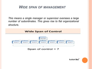 Hs300 m4 2 span of control | PPT