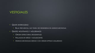 VESTIGIALES 
• QUISTE ENTEROGENO 
• BAJA FRECUENCIA, MUY RARA VEZ DEGENERAN EN ADENOCARCINOMA 
• QUISTES WOLFFIANOS Y MÜLLERIANOS 
• ORIGEN ESTRUCTURAS UROGENITALES 
• HALLADOS EN NIÑOS Y ADOLESCENTES 
• ADENOCARCINOMAS SEROSO CON ORIGEN EPITELIO MÜLLERIANO 
 
