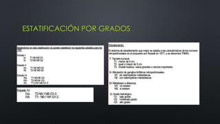 ESTATIFICACIÓN POR GRADOS 
 