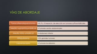 VÍAS DE ABORDAJE 
• 8, 9 y 10 espacio, Toracofrenolaparotomia de elección en tumores suPraumbilicales 
Media suprainfraumbilical • Tumores centro abdominales 
Media infra umbilical • Abdomen inferior 
Xifopubiana • En grandes tumores 
Laparoscopia • Tumores localizados 
 