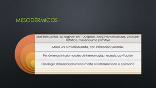 MESODÉRMICOS 
Mas frecuentes, se originan en T. Adiposo, conjuntivo muscular, vascular, 
linfático, mesénquima primitivo 
Masa uni o multilobulada, con infiltración variable, 
Fenómenos intratumorales de hemorragia, necrosis, cavitación 
Histología diferenciada mono morfa o indiferenciado o polimorfa 
 