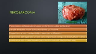 FIBROSARCOMA 
Pacientes con poliposis adenomatosa familiar (enfermedad de Gardner) 
Tienden a crecer e invadir estructuras vecinas y a recidivar 
Diagnóstico de tumor maligno tejidos blandos en el diferencial 
Se presentan como grandes tumores con compromiso loco regional de estructuras vecinas 
Promedio de 18 a 21 años de edad (rabdomiosarcoma 33%, Fibrosarcoma 33%) 
 