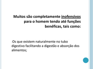 Muitos são completamente inofensivos
para o homem tendo até funções
benéficas, tais como:
-Os que existem naturalmente no tubo
digestivo facilitando a digestão e absorção dos
alimentos;
 