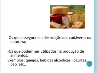 -Os que asseguram a destruição dos cadáveres na
natureza;
-Os que podem ser utilizados na produção de
alimentos.
Exemplos: queijos, bebidas alcoólicas, iogurtes,
pão, etc.,
 